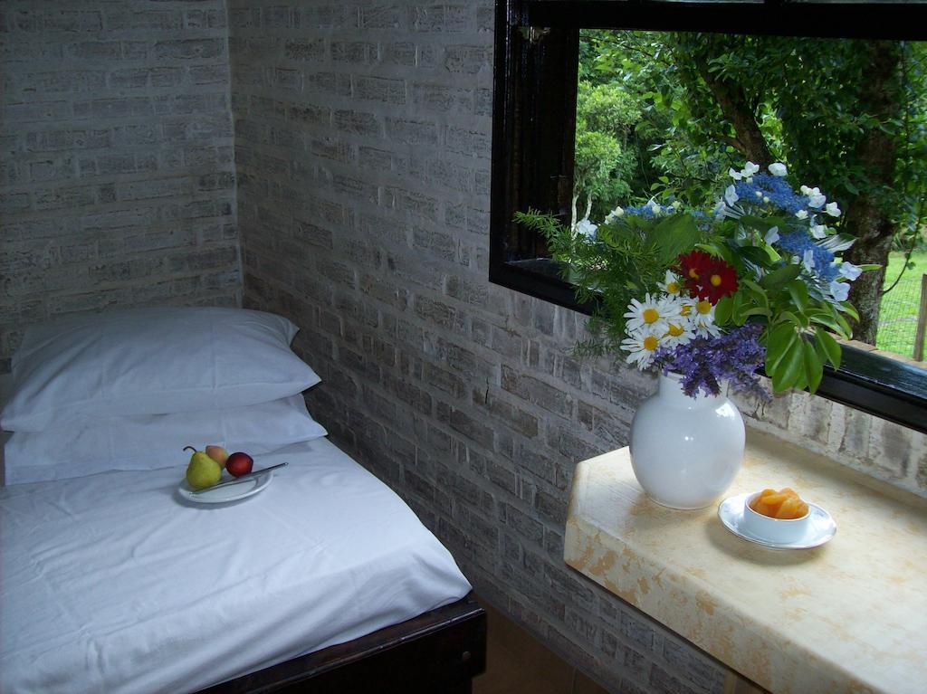 Terra Do Sempre - Reserva Ambiental Hotel São Francisco de Paula Eksteriør billede