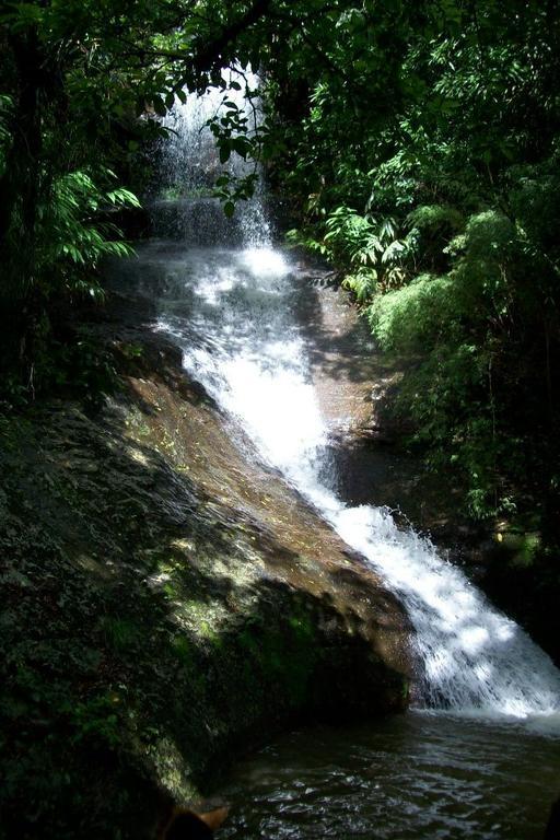 Terra Do Sempre - Reserva Ambiental Hotel São Francisco de Paula Eksteriør billede