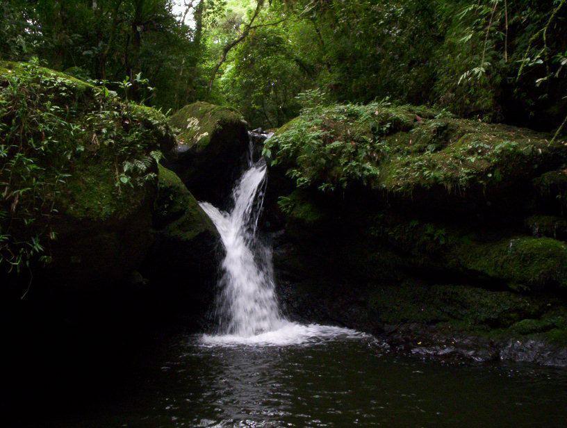 Terra Do Sempre - Reserva Ambiental Hotel São Francisco de Paula Eksteriør billede